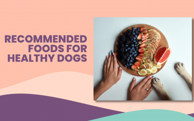 Recommended Food for Healthy Dogs